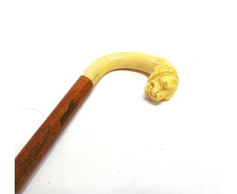 A MALACCA WALKING STICK  with an ivorine grip in the form of a lion's head, and a horn ferrule, 86.5cm high.