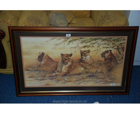 A print on board of lionesses.
