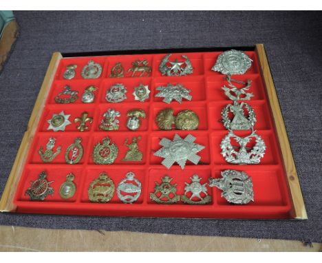 A display cases containing Twenty Two metal Military Cap badges including Royal Welsh Fusiliers, Army Medical Corp, The Chesh
