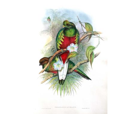 Gould (John). A Monograph of the Trogonidae, or Family of Trogons. Published by the author, 1875, second edition, large folio