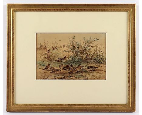 Hasse, Ernst (1819-1860), "Spatzenfamilie", Sepia/Aquarell/Papier, 15,5 x 24 (Passepartoutausschnitt), unten mittig signiert 