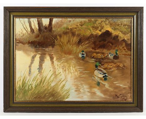 COLLINS, Waldemar von (1910-1999), "Stockenten am Ufer", Öl/Lwd., 52 x 70, unten rechts signiert, R. 