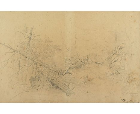 Spitzweg, Carl (1808-1835), "Waldstudie", Bleistift/Papier, 27 x 40 (Passepartoutausschnitt), fleckig, unten rechts bez. "H. 