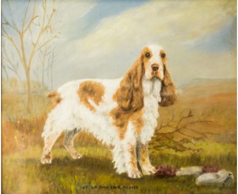 GREER, K (XX), study of a prize spaniel, oils on board, signed, gilt frame, 40cm by 50cm
