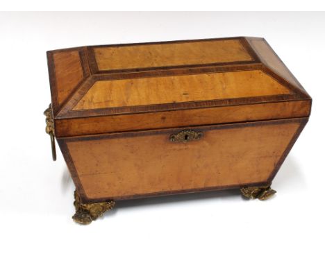 Satinwood sarcophagus tea caddy, with crossbanded edging, ormolu lion face handles and paw feet (bent), 31 x 20 x 18cm