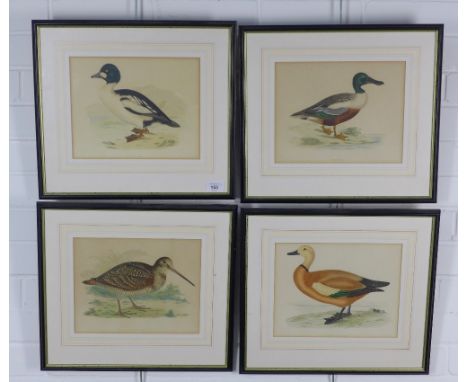 A set of four  prints to a Shoveler, Woodcock, Buddy Shieldrake and a Golden Eye, framed under glass, 27 x 22cm (4)