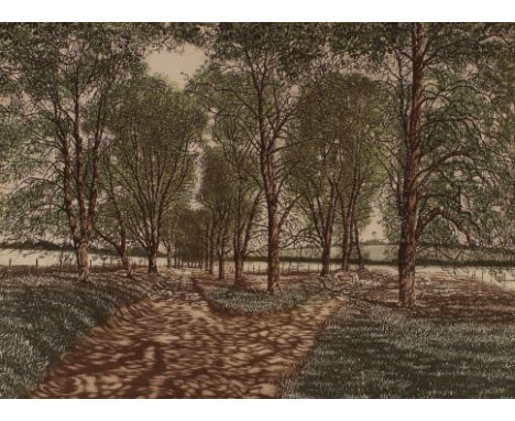 Graham Evernden born 1947, "Dapple Lane" etching with aquatint, pencil signed limited edition 89/200, image 29cm x 39.5cm&nbs