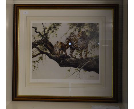 Hodge, Spencer. Limited Edition signed in pencil print depicting a Cheetah and her cub in a tree. 458/500. Framed and Glazed.