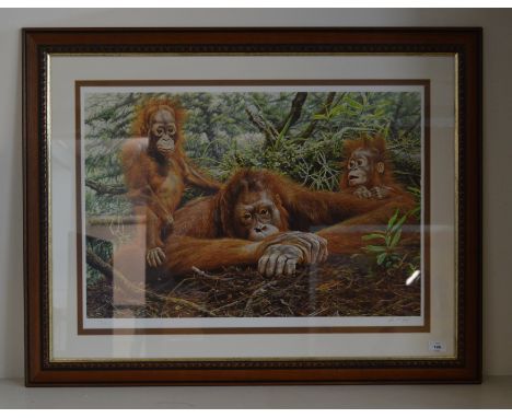 Hunt, Alan M. Limited Edition signed in pencil print depicting a family of 3 Orangutans. 138/750. Framed and Glazed. 100cm x 