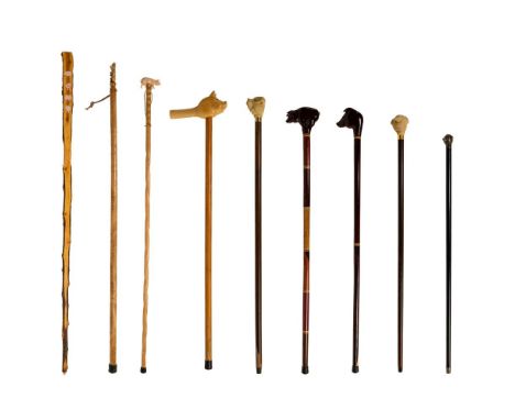 Pig Cane and Walking Stick Assortment  (9) items including (3) walking sticks and (6) canes; a cane having a sterling silver 