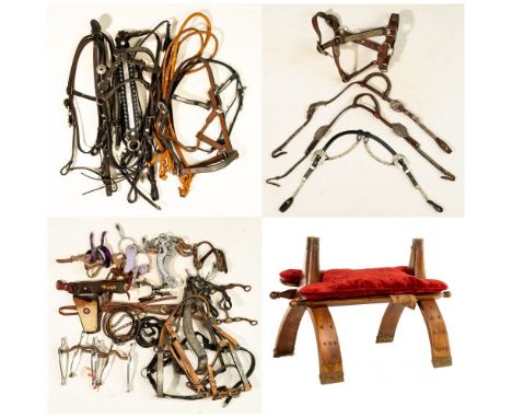 Western Equestrian Show Tack Assortment  (4) show items including a halter having concho style buckles and belt tips marked '