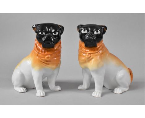 A Pair of Continental Ceramic Seated Pug Dogs, Each 16.5cms High 