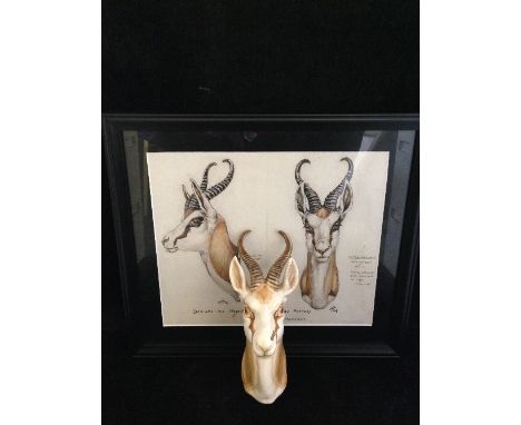 A rare Poole Pottery wall mounting model of a Springbok head from an original design by C. J. Astley Maberly in Picotee spray