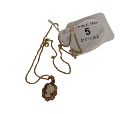 A 9ct gold mounted cameo pendant on 9ct gold chain