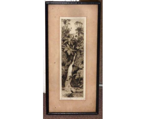 A fine late 19th / early 20th Century  Etching of the Karamatura Falls, Australia by the New Zealand artist, Trevor Lloyd (18