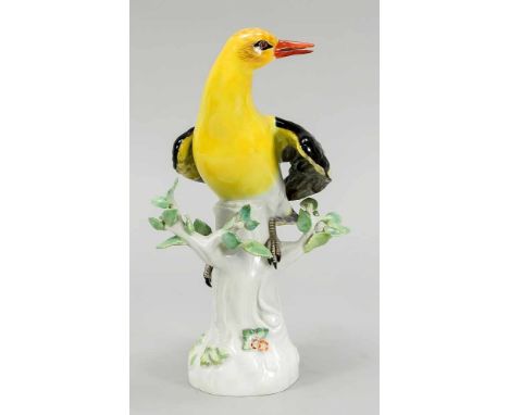 Pirol auf einem Stamm, Meissen, nach 1973, 1. W., Entwurf Johann Joachim Kaendler im Jahr 1733, Modellnr. 77123, polychrom be