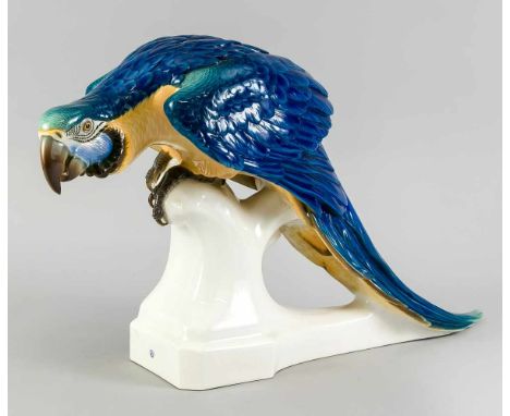 Großer Papagei Ara, Nymphenburg, um 1927, geprägte Wappenmarke, Modellnummer 364, datierte Malersignatur R. Böck 1927, polych