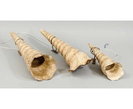 3 Muschel-Wandlampen, hell staffiert. Kleine Wandteile aus Eisen mit 2 Ringen. Jeweils in einen Ring eine Muschel eingesteckt