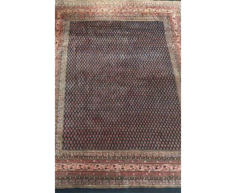 Teppich, 327 x 248 cmCarpet, 327 x 248 cm