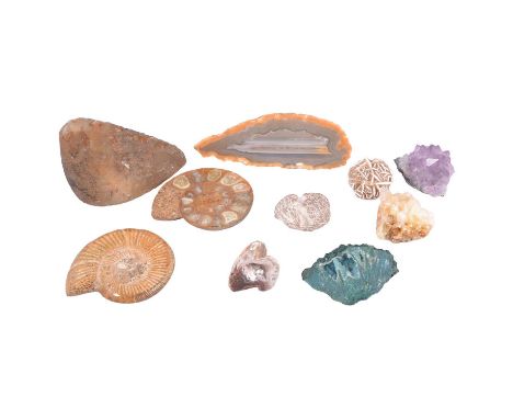 Small collection of crystals and fossils, including a pair of ammonite fossils, geodes, etc.