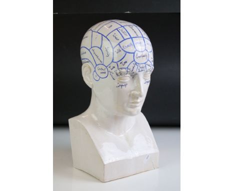 Ceramic Phrenology Head, 37cm high 