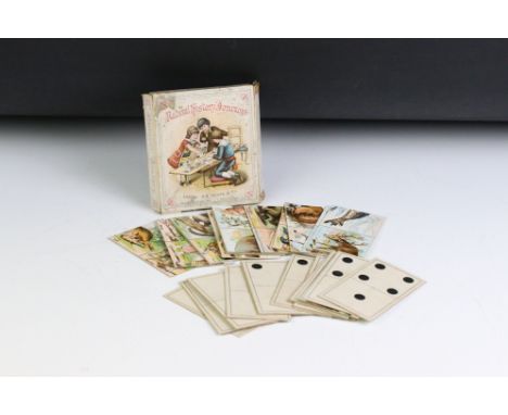 19th century c.1880 Natural History Dominoes Card Game by A.N. Myers &amp; Co of London, complete with 30 playing cards and t