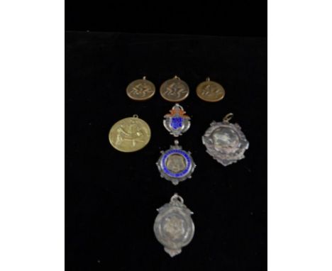 Two silver and enamel medallions, a silver medallion, a silver plated medallion and a selection of other medallions various