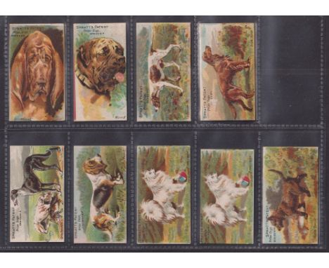 Trade cards, Spratt's, Prize Dogs, nine type cards each one with a different back advert, Bloodhound (Dog Soap), Mastiff (Spr