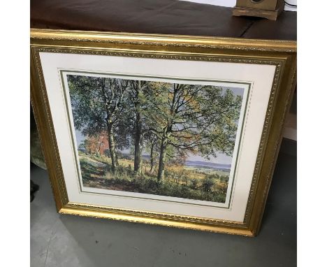 McIntosh Patrick limited edition print titled 'Beech Trees at Dron' Signed in pencil by the artist and fitted within a gilt f