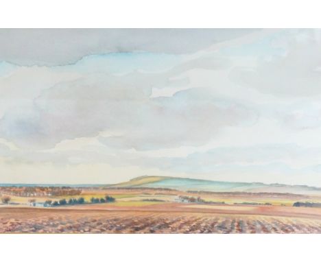 JONATHAN ARMIGEL WADE (b.1960)
North Morayshire countryside, watercolour, signed, 34cm x 23.8cm  