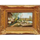Hänger, Max"Hühnerhof"(München 1874-1941 Fürstenfeldbruck) Pfau mit Enten und Hühnern an einem