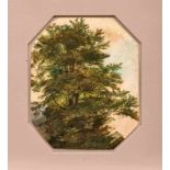 Gauermann, Friedrich (Attrib.)Baumstudie(Miesenbach 1807-1862 Wien) Öl/Papier, zu Oktogon