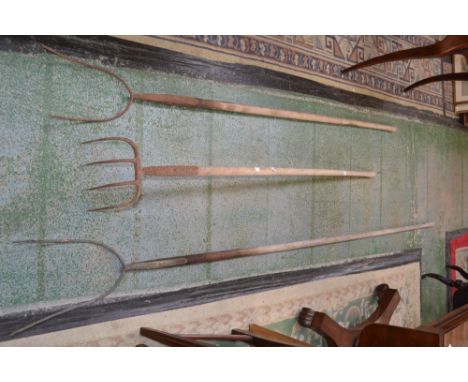 Vintage tools - two pitchforks and a rake (3)