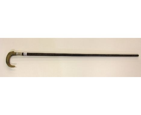 A carved horn and hallmarked silver mounted walking stick