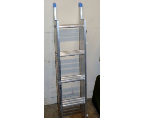 EXTENDING LADDER     