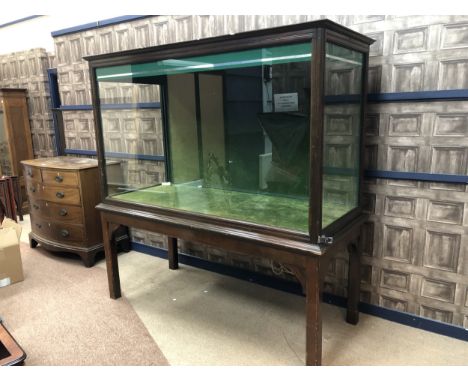 EARLY 20TH CENTURY DISPLAY CASE, with glazed front and hinged side doors, lined in green velvet, with light fitment, on squar