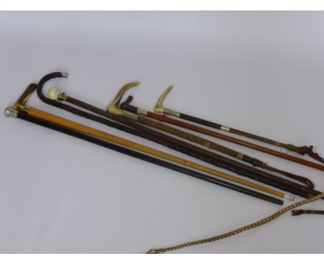 A Quantity of Walking Sticks, together with two riding crops with bone handles and a coaching whip. (6)