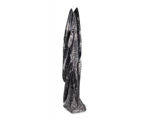 Middle Ordovician A large orthoceras fossil  Dimensions: 19.5 in. (H) x 4 in. (W) x 3 in. (D) 