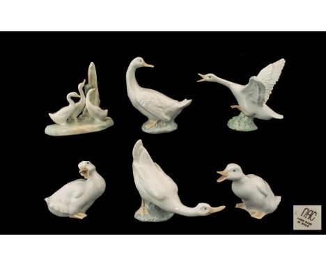 A Collection of Porcelain Bird Figures including one Lladro and five Nao 6) pieces in total. Various heights and poses.