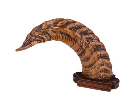 A Victorian rosewood-mounted ram's horn snuff mull / box