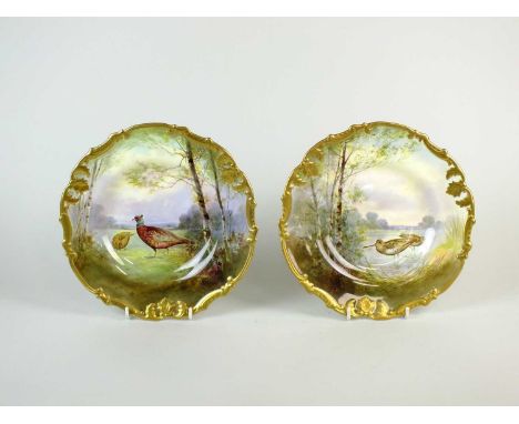 A pair of Royal Doulton cabinet platesearly 20th centurypainted with snipe and pheasants within wooded landscapes, titled to 