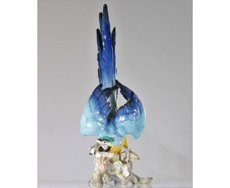  SAXE by Karl ENS (1802-1865) very imposing parrot (ara) - Sizes: h670mm L200mm - Weight (K): 3,3kg - Condition: at first sig