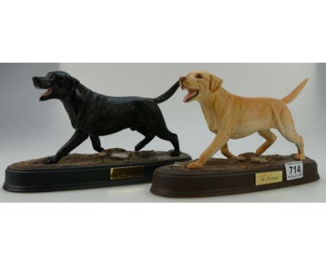 Beswick The Labrador 3062A on ceramic plinth together with similar item in black variation. (2)