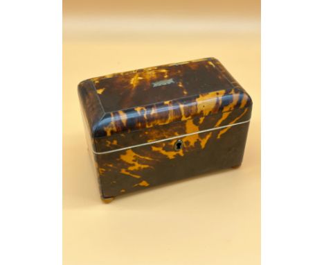 19th century tortoise shell tea caddy [As found in areas] [Will post] 