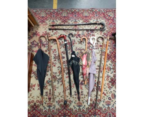 Collection of antique walking sticks includes silver hall marked collard walking sticks, military style swagger stick togethe