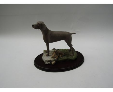 A Naturecraft, Best of Breed model of a Weimaraner