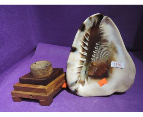 A large sea shell with base and once a lamp