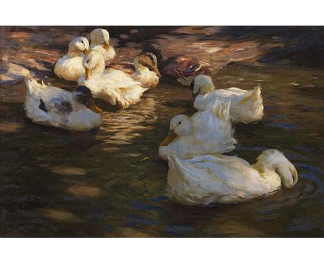 Alexander Koester     1864 Bergneustadt - 1932 München 9 Enten im Abendlicht. Um 1910. Öl auf Leinwand.  Links unten signiert