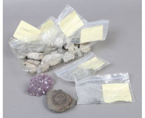 A box of geological specimens to include amethyst, fern, fossil, jet etc.