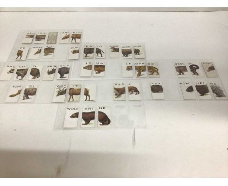 Cigarette cards selection of sets and part sets in five files including Gallher Birds of Commerical Value, Ogdens Poultry Alp